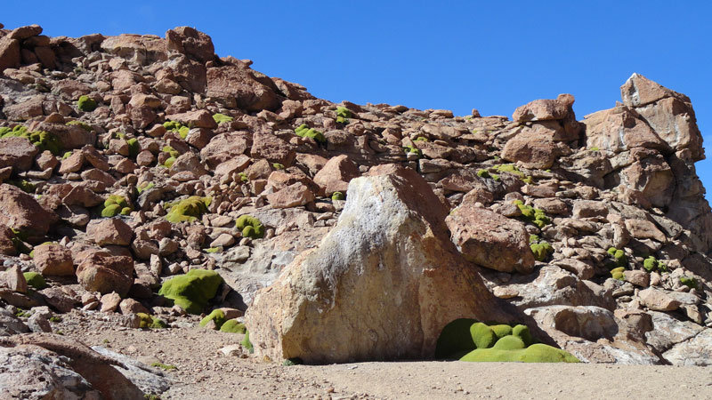 Tatio Geysers