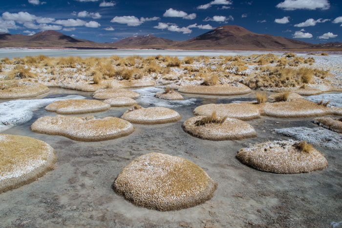 Lakes of the Altiplano