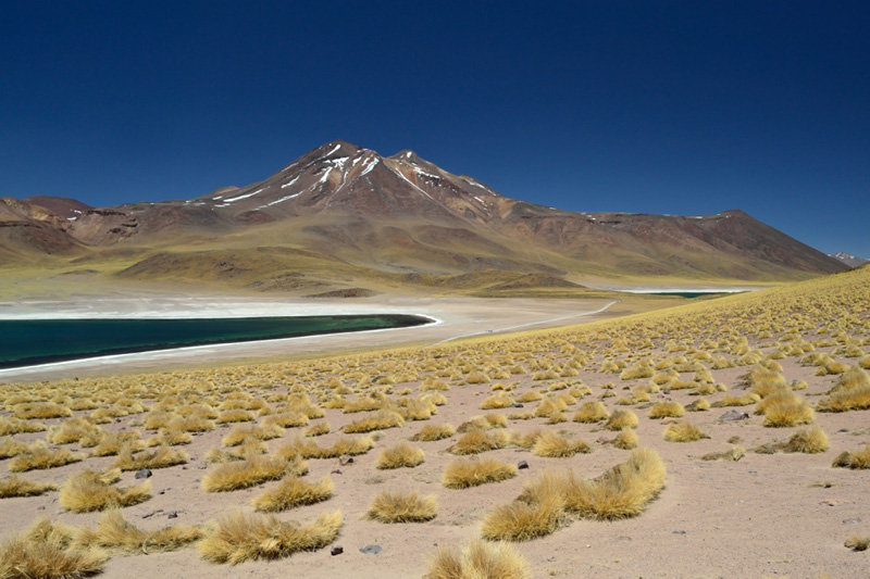 Lakes Miscanti & Miñiques