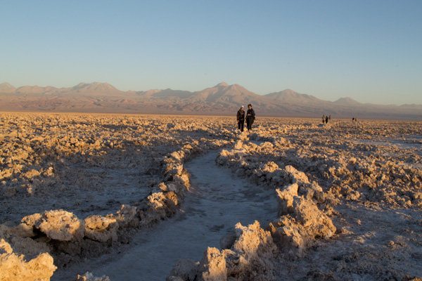 Atacama Salt Flat, Chaxa Lake