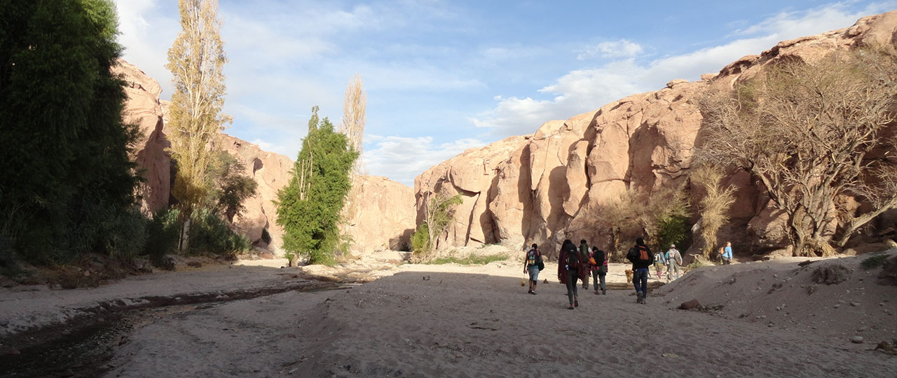 Atacama Contact