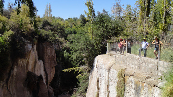 Toconao's Gardens