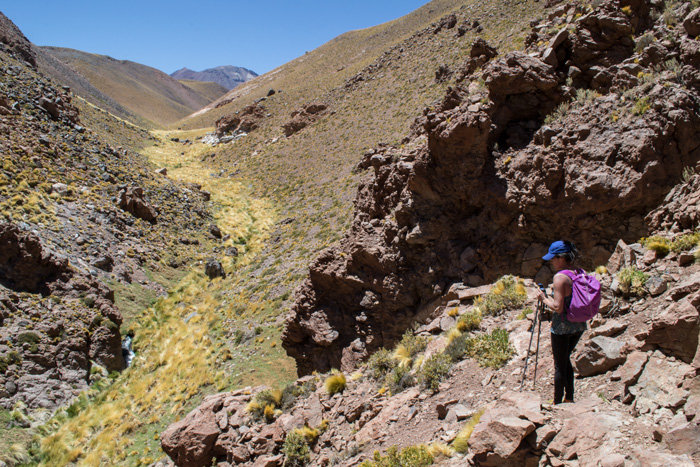 Nacimiento Canyon